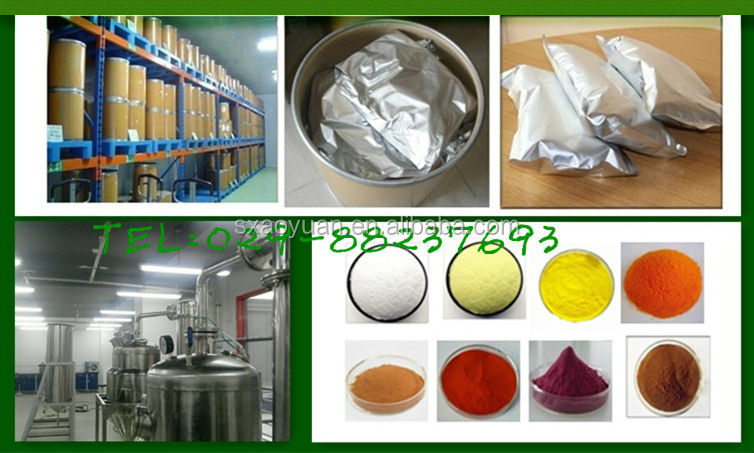 Top Quality Soybean Extract Soy Isoflavone