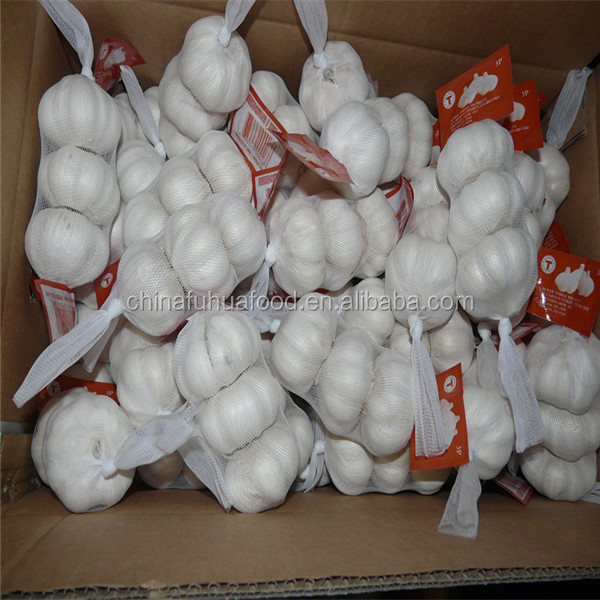Good Quality Fresh Garlic 5.0cm