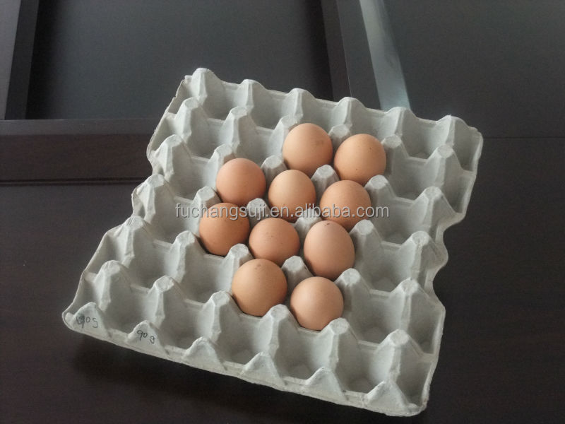 paper egg carton/box making machine / ce