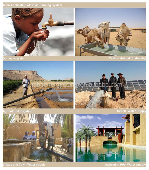 solar pump inverter references (19)