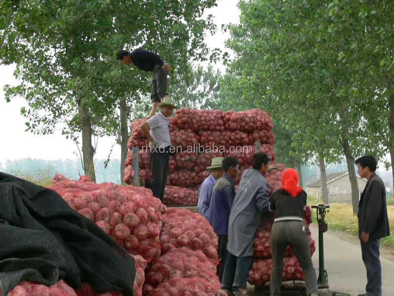 2014 new crop red onion price