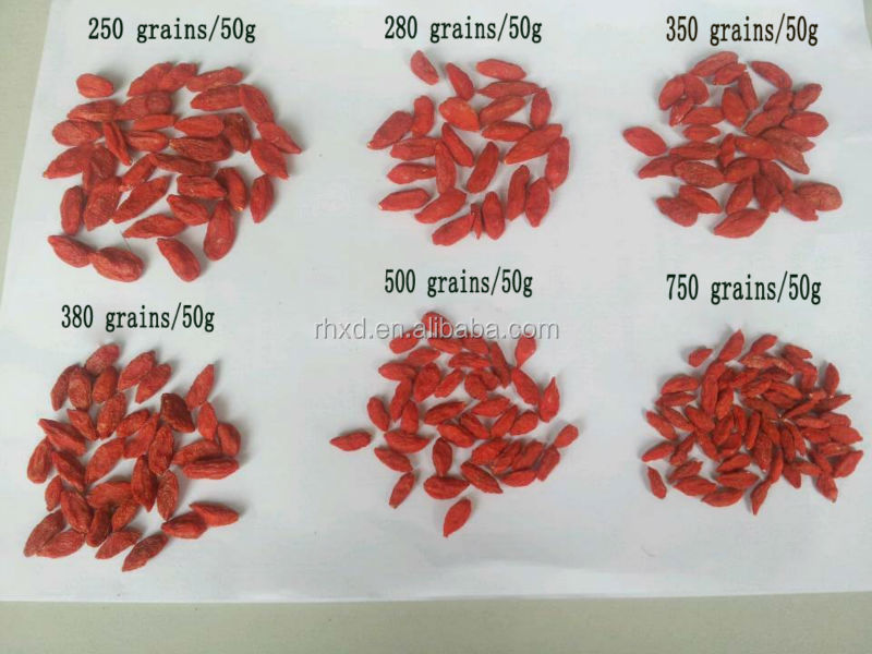 Chinese Ningxia goji berry Russia
