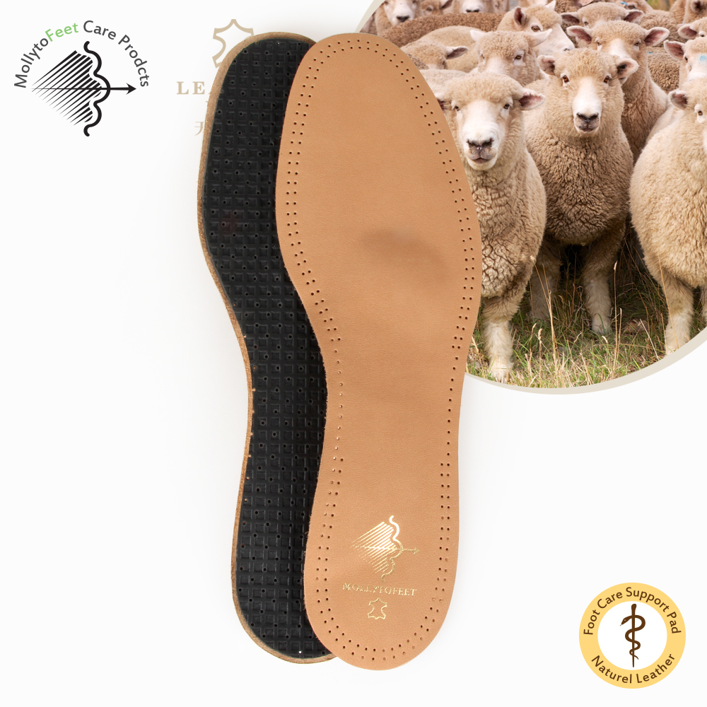 arch support insole shoppers drug mart