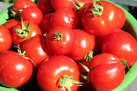 Hot product tomato paste in bulk tomato paste