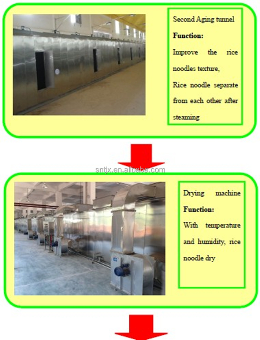 15 tons/day Industrial Stick Rice Noodle Processing Machine