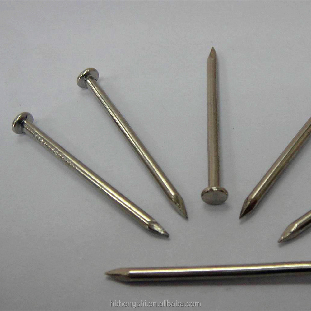 common nail iron nail factory/soft iron nail/gun nail