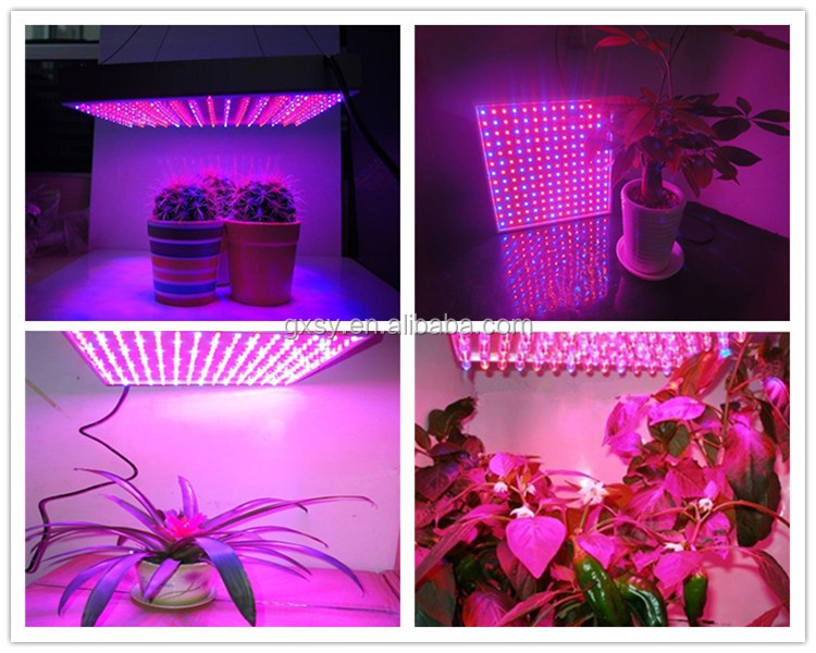 屋内ガーデン水耕温室15 ワット を育てる led ランプ用の花野菜や果物仕入れ・メーカー・工場