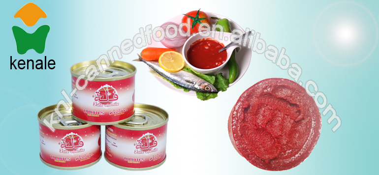 HALAL & KOSHER certified Tomato Paste 70gX50tins