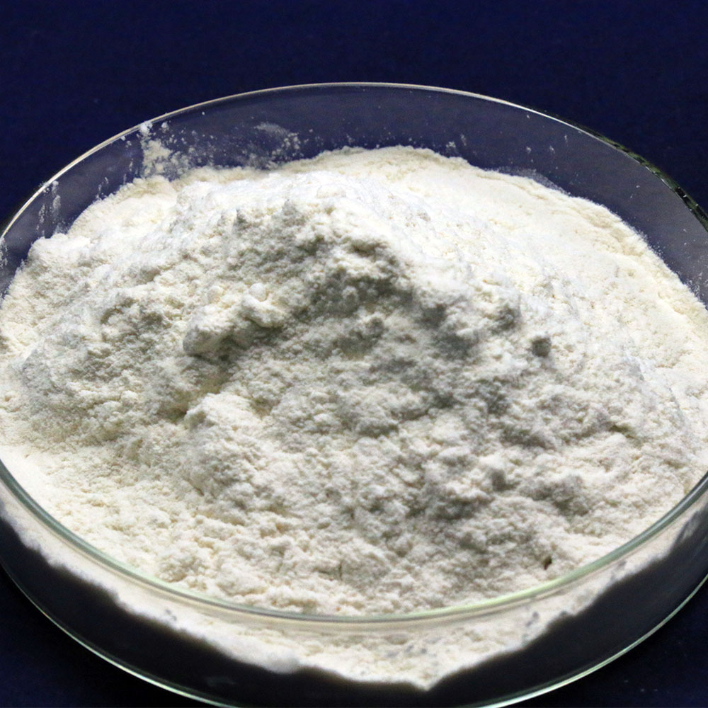 xanthan gum1