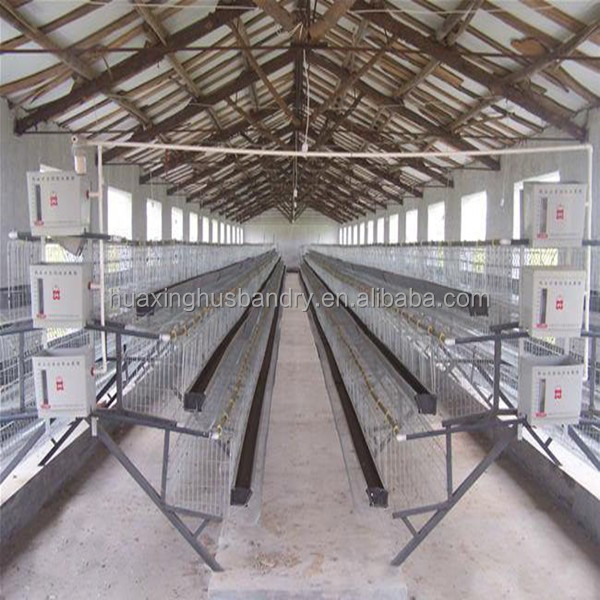 Coop Design Of Chicken Layer Cage/layer Chicken Cage - Buy Design 