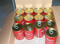 Hot product tomato paste in bulk tomato paste