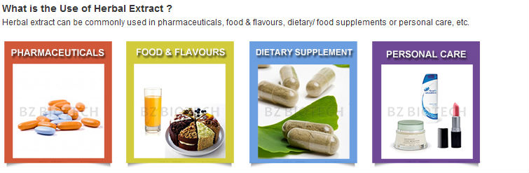 SIBERIAN GINSENG POWDER FOR TEA,WATER SOLUBLE GINSENG POWDER
