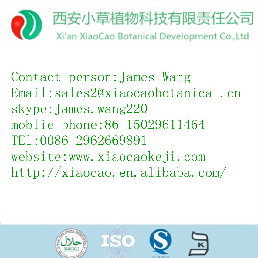 high quality natural Cocoa powder manufacturer