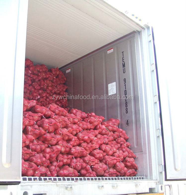 Fresh Onion Hot Sale Onion New Crop Onion Wholesale Onion Prices Onion High quality Onion Exporter