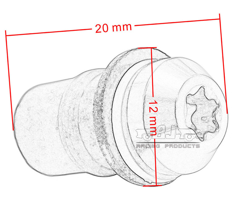 BJ-Screws-2008-BK (1).jpg