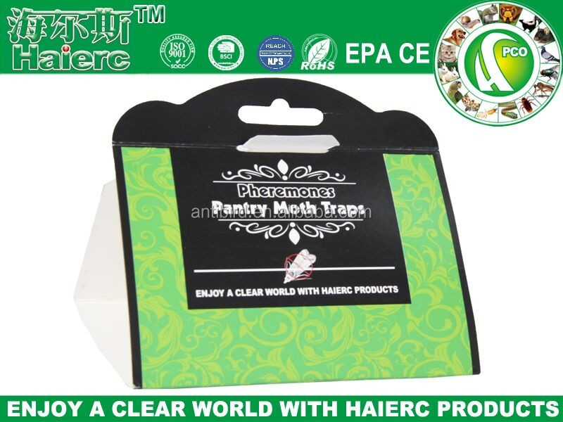 Pantry moth glue trap.jpg