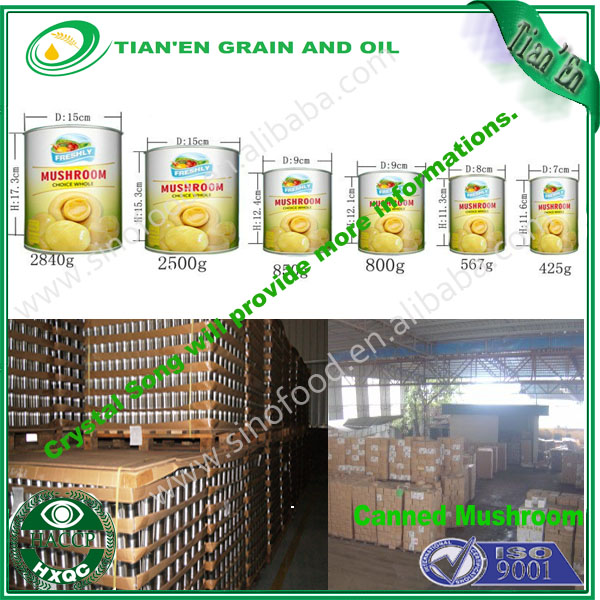 canned mushroom in brine with competitive mushroom price haccp certified products