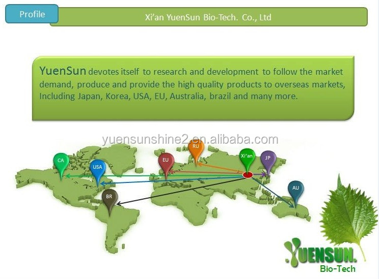 Antioxidant product Extract ratio 10:1 100% natural Lemon powder/lemon juice in bulk