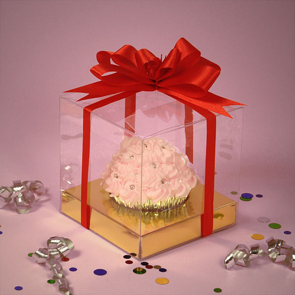 11-15 plastic box-JLC (13).jpg