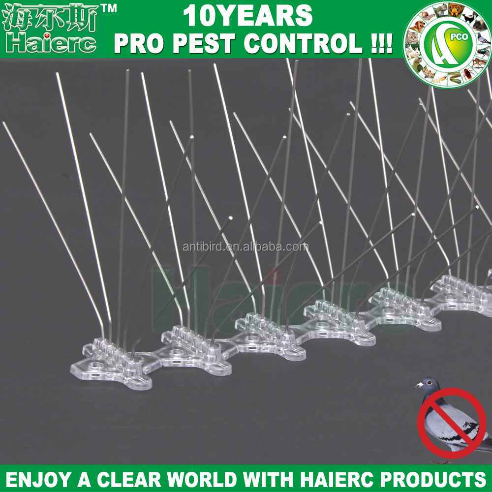 Haierc Plastic bird spikes.jpg