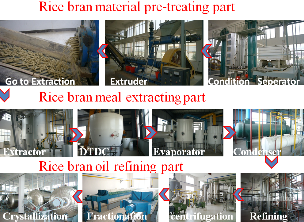 whole set of rice bran oil refinery machine