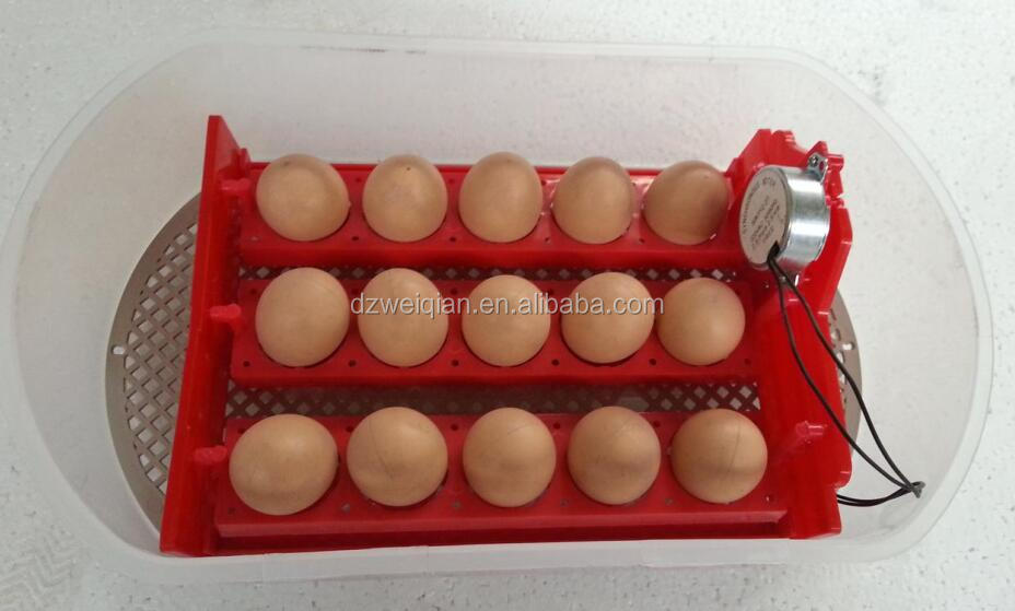 Homemade Egg Tray Turner 13