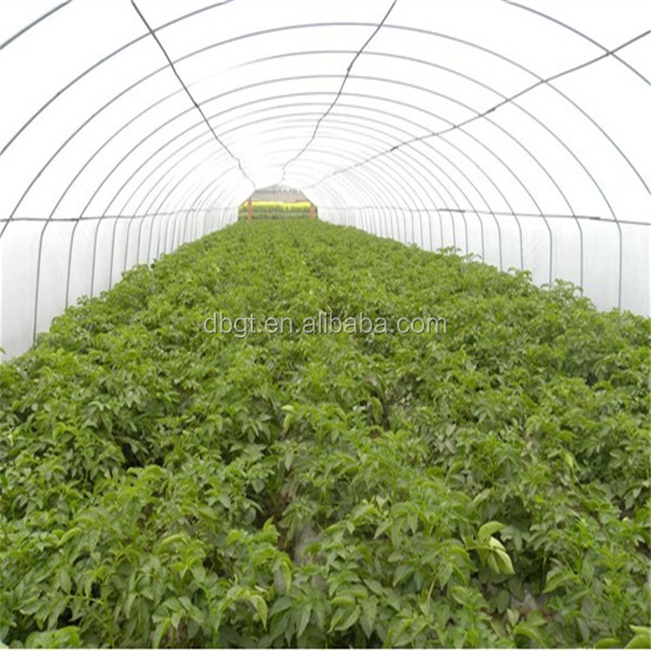 Mesh bag for high quality fresh potato