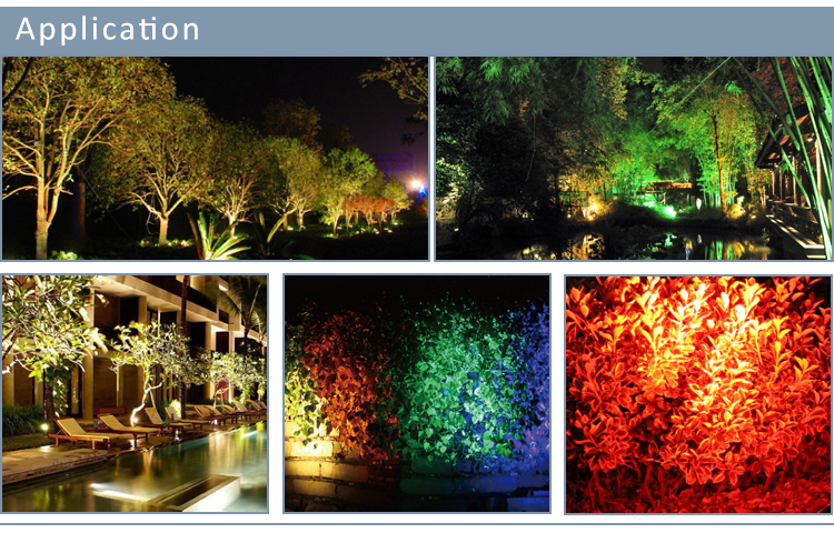 LED Spike Light