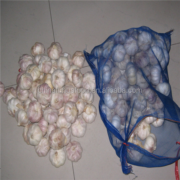 Fresh Garlic 20kg/mesh Bag