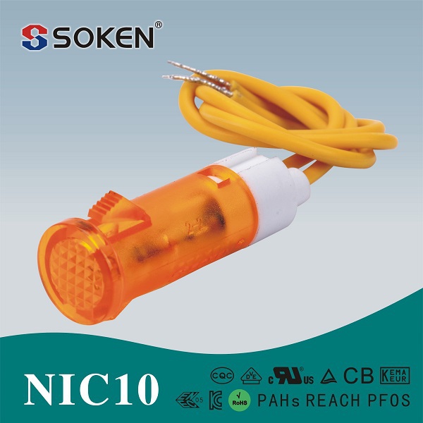 NIC10-F2.jpg