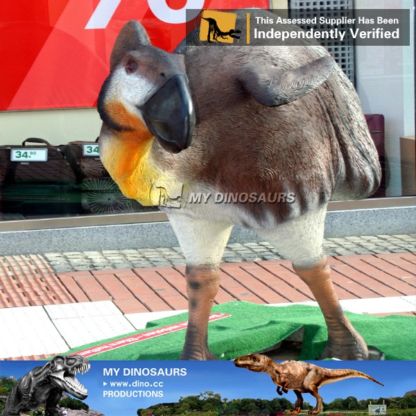 105.jpg