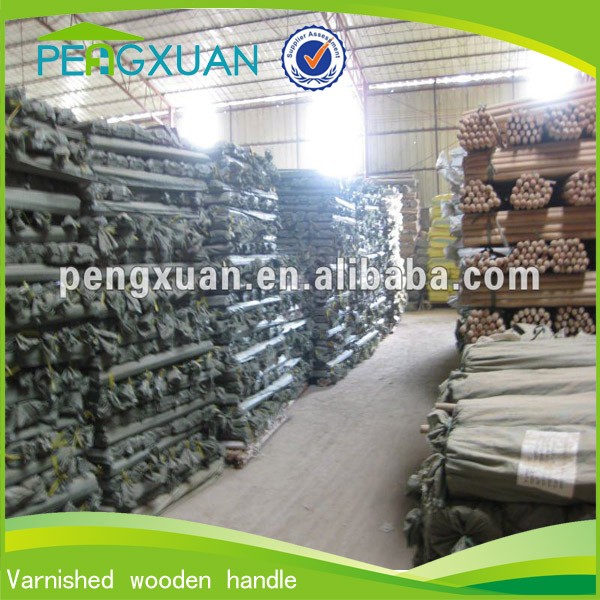 eucalyputs wood logs.jpg