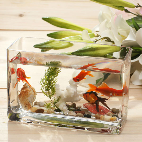 Mini Clear Glass Fish Bowl// Customized Goldfish Glass Aquarium Glass