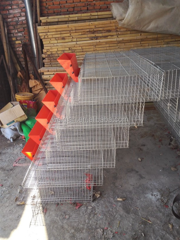 High Quanlity Quail Cage With New Feeder Buy Quail Cage,Cage,Cage