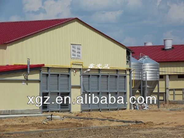 Chicken Layer Cage For Sale In Philippines - Buy Automatic Chicken 