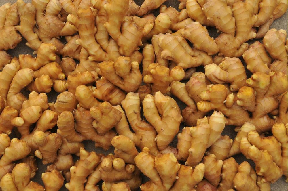 Semi-dry ginger fresh ginger China ginger