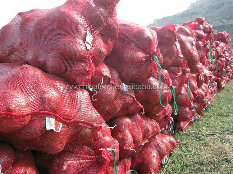 2014 New Export Bulk Red Onion Fresh Onion Most Popular