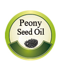 High Quality wheat germ seed oil vitamin E softgel capsules