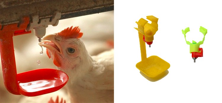 in favor of vaccination of chickens nipple drinker