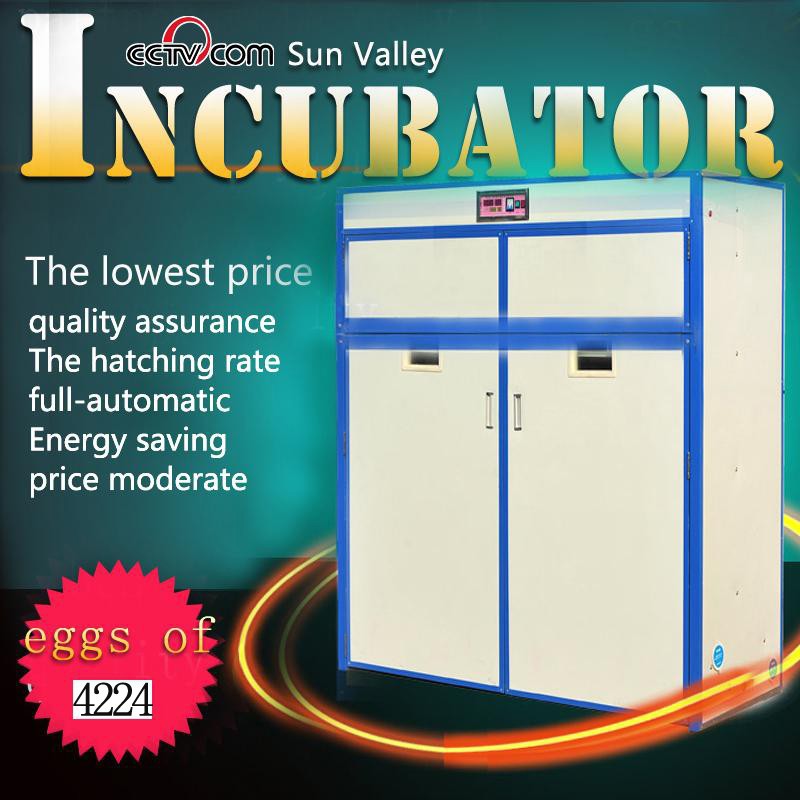 Egg Turning Motor For Incubator Turkey Egg Incubator - Buy Egg Turning 