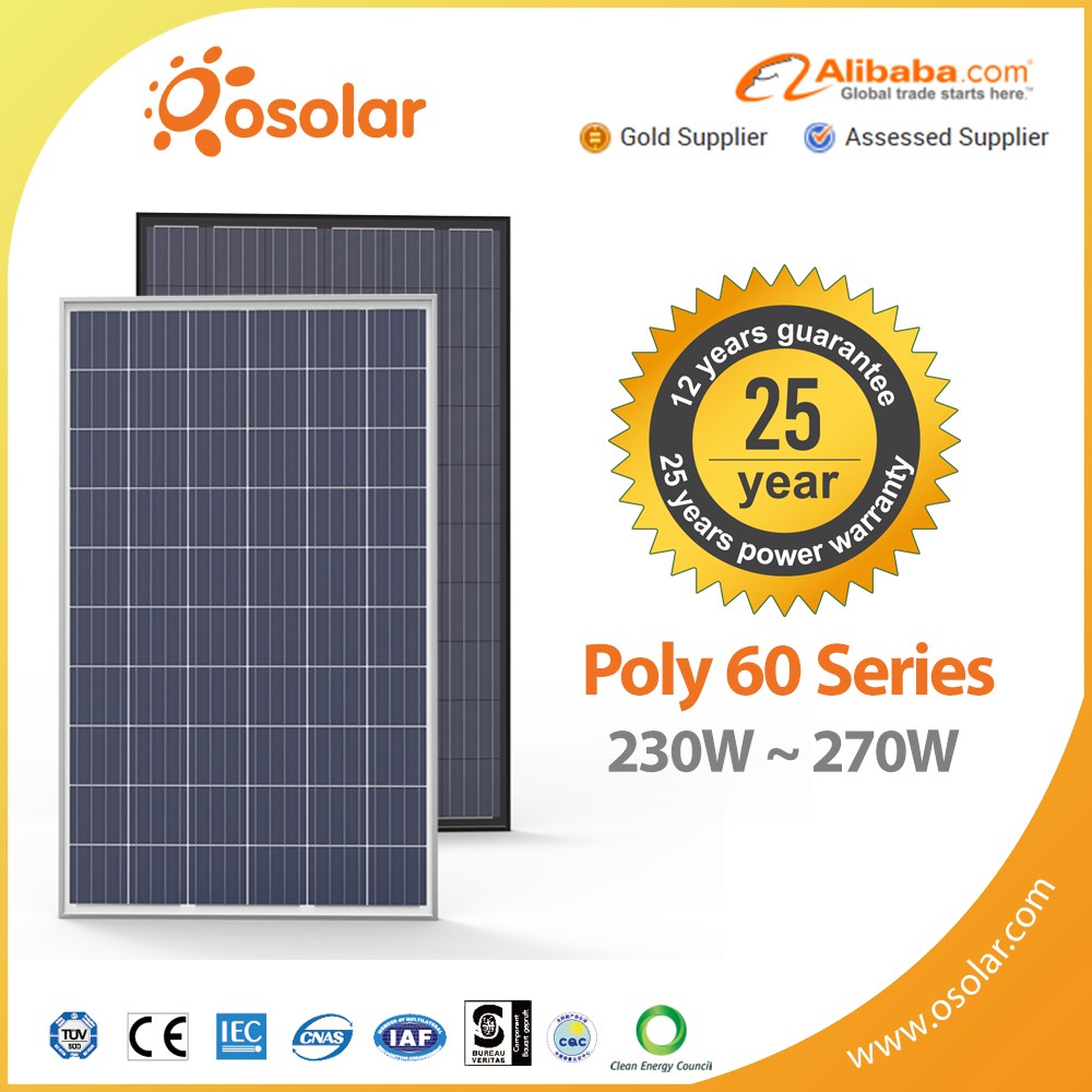V2 Poly 60 PCS 0D