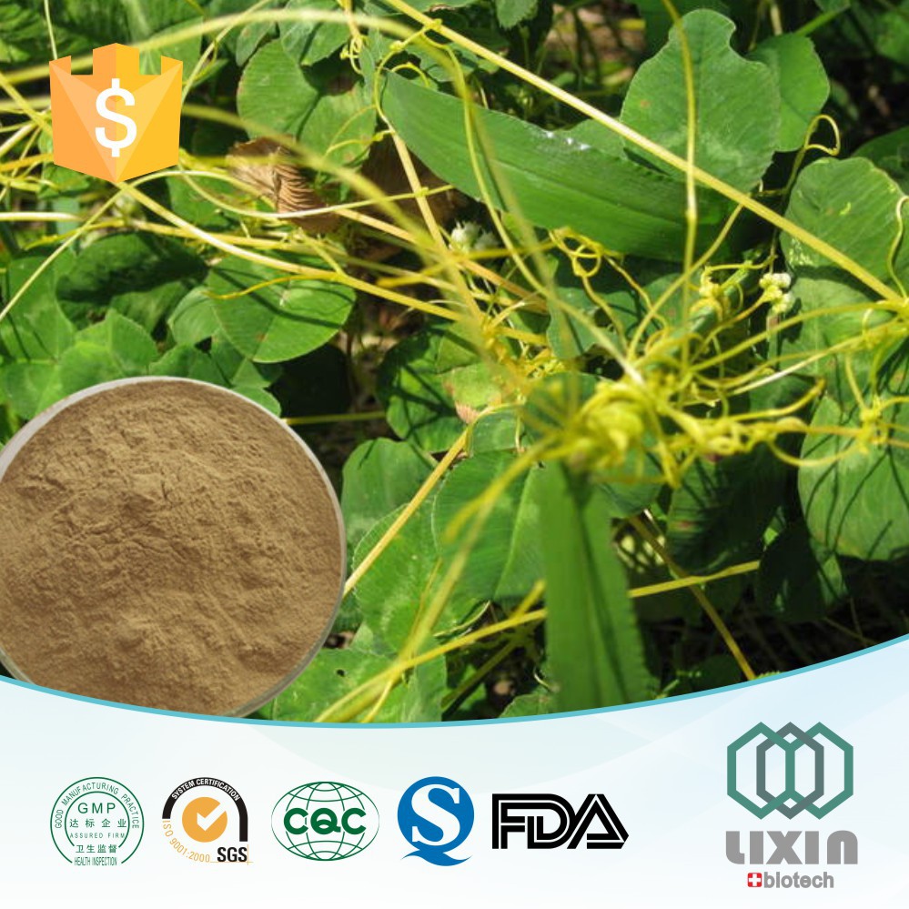 gmp oem factory natural plant extract new arrival china dodder