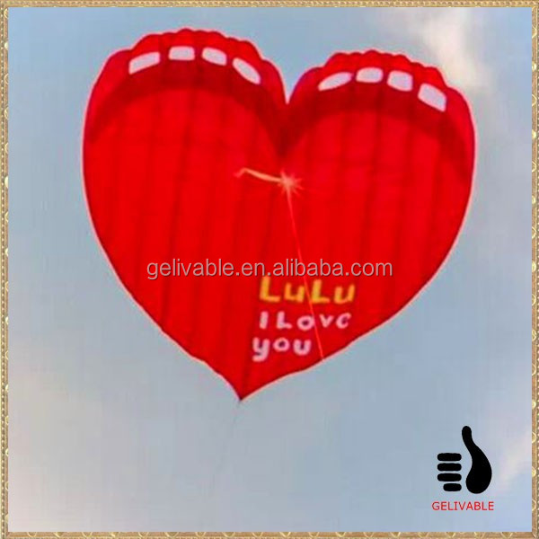 custom heart kite.jpg