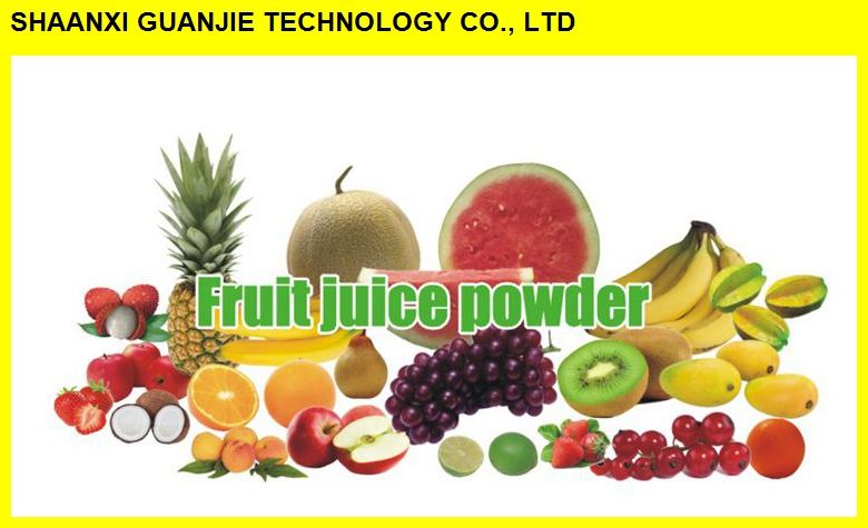 ISO Manufacturer Wholesale Best Price Organic Goji Berry Powder