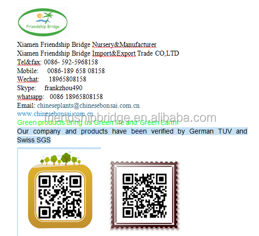 business card 2.png