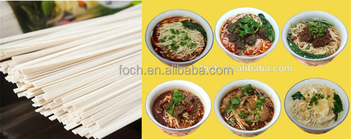konjac udon/Shirataki/Konjac/Konnyaku Noodle