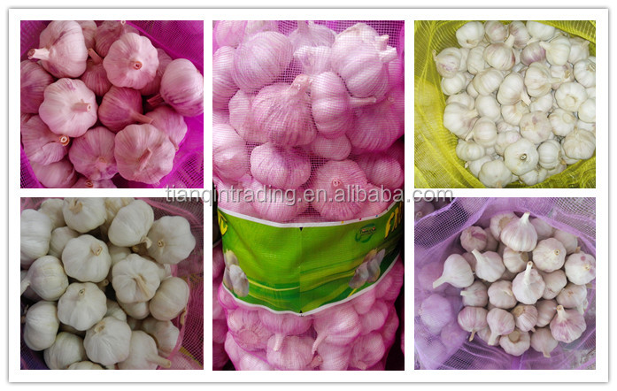 chinese normal white garlic price China Garlic/AJO/ALI/ALHO