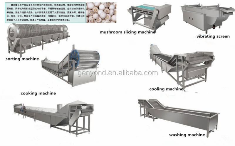 Fully automatic canned mushroom processing plant/ canned vegetables production line