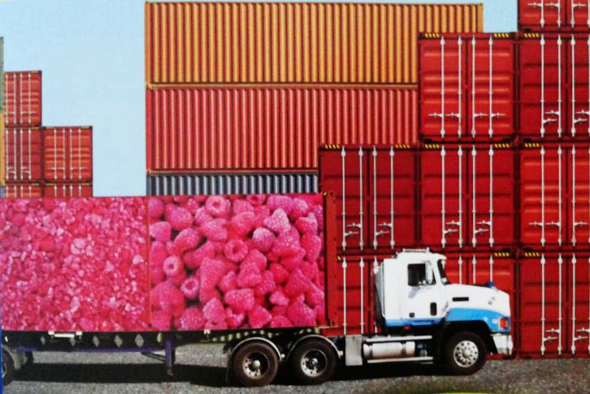 haccp frozen raspberry china