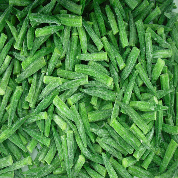 frozen bean sprout